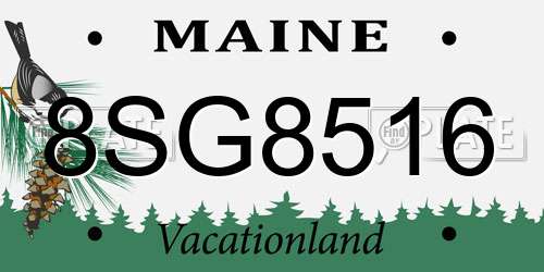 8SG8516 Maine License Plate
