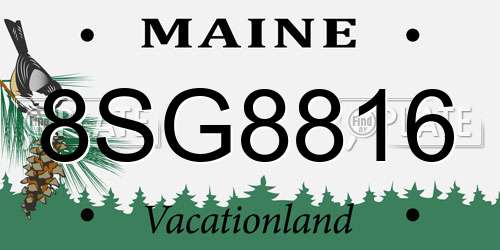 8SG8816 Maine License Plate