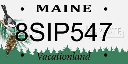 8SIP547 Maine License Plate