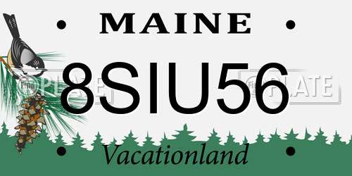 8SIU56 Maine License Plate