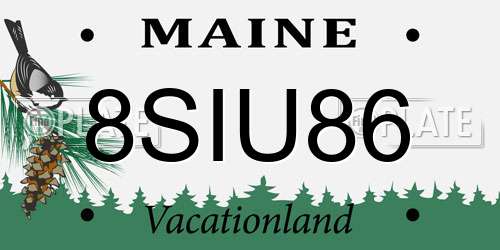 8SIU86 Maine License Plate