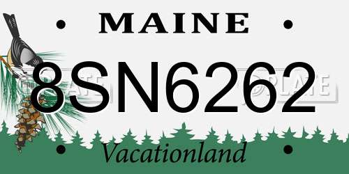 8SN6262 Maine License Plate
