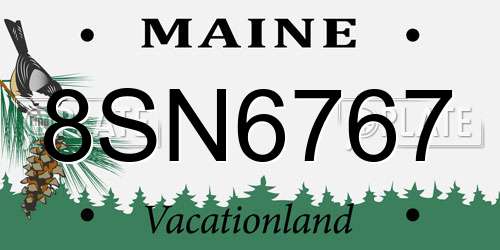 8SN6767 Maine License Plate