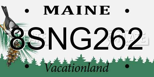 8SNG262 Maine License Plate
