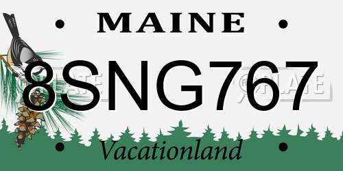 8SNG767 Maine License Plate