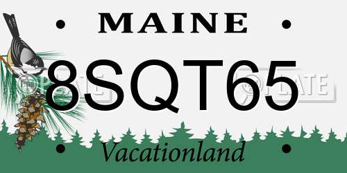 8SQT65 Maine License Plate