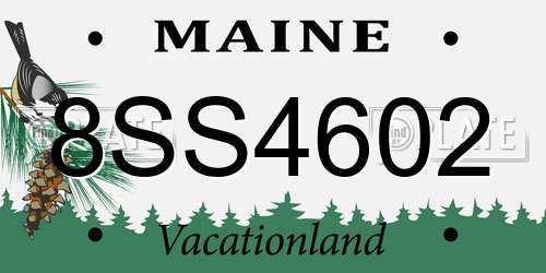 8SS4602 Maine License Plate