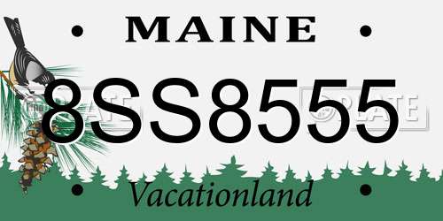 8SS8555 Maine License Plate