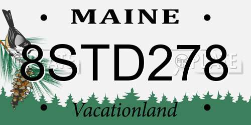 8STD278 Maine License Plate