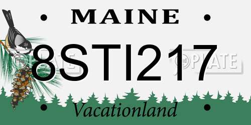 8STI217 Maine License Plate
