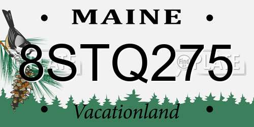 8STQ275 Maine License Plate