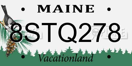 8STQ278 Maine License Plate