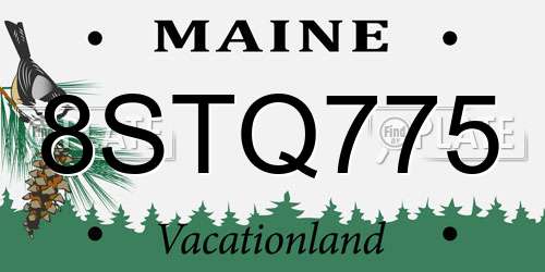 8STQ775 Maine License Plate