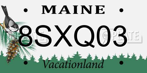8SXQ03 Maine License Plate