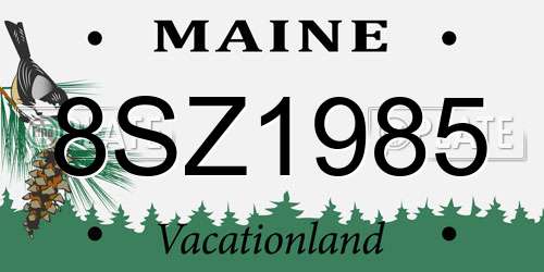 8SZ1985 Maine License Plate