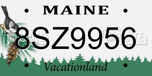 8SZ9956 Maine License Plate