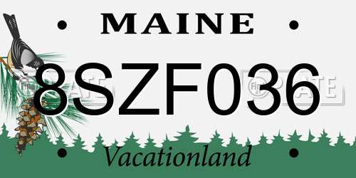 8SZF036 Maine License Plate