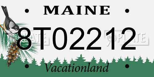 8T02212 Maine License Plate