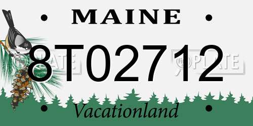 8T02712 Maine License Plate