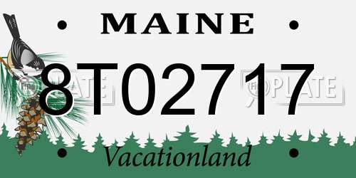 8T02717 Maine License Plate
