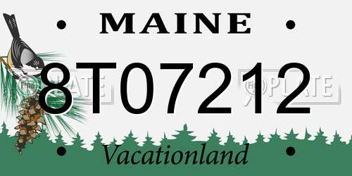 8T07212 Maine License Plate