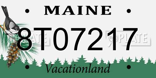 8T07217 Maine License Plate