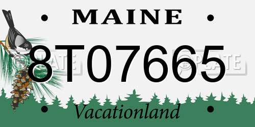 8T07665 Maine License Plate