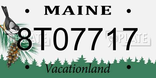 8T07717 Maine License Plate