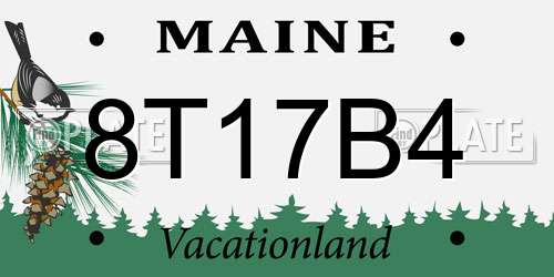 8T17B4 Maine License Plate