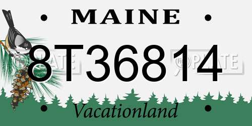 8T36814 Maine License Plate