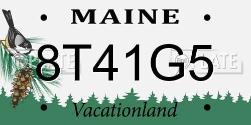 8T41G5 Maine License Plate