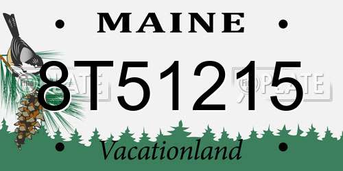 8T51215 Maine License Plate