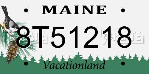 8T51218 Maine License Plate