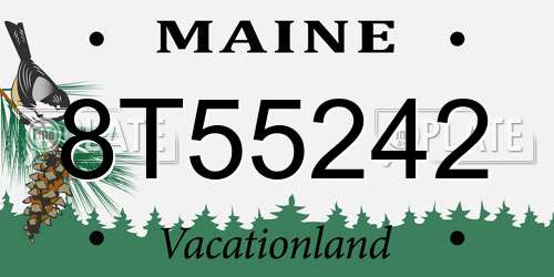 8T55242 Maine License Plate