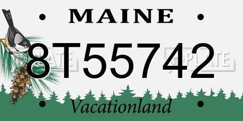 8T55742 Maine License Plate