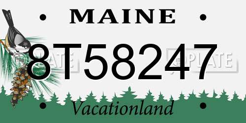 8T58247 Maine License Plate