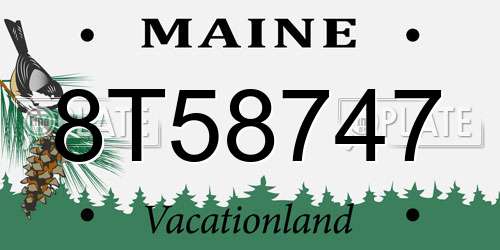 8T58747 Maine License Plate