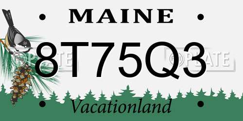 8T75Q3 Maine License Plate