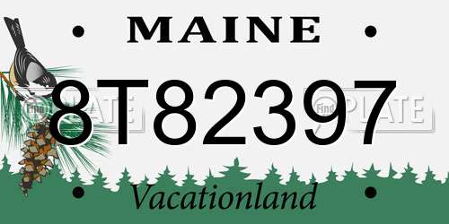 8T82397 Maine License Plate