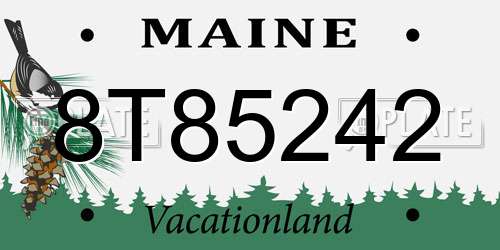 8T85242 Maine License Plate