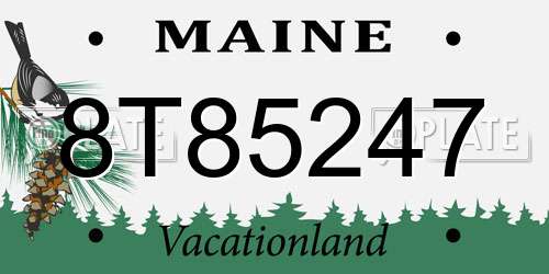8T85247 Maine License Plate