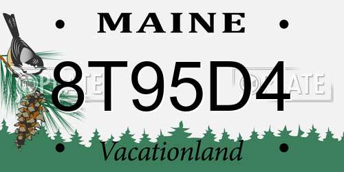 8T95D4 Maine License Plate