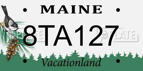 8TA127 Maine License Plate