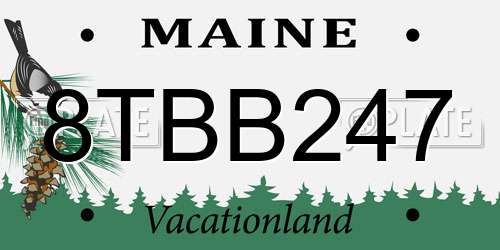 8TBB247 Maine License Plate