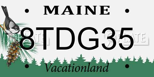 8TDG35 Maine License Plate