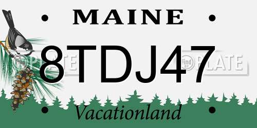 8TDJ47 Maine License Plate