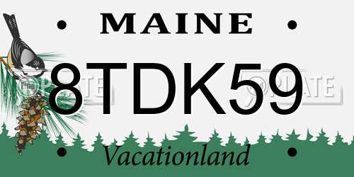 8TDK59 Maine License Plate