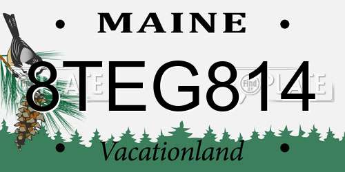 8TEG814 Maine License Plate