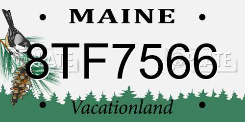 8TF7566 Maine License Plate
