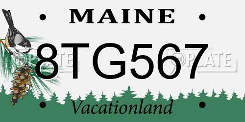 8TG567 Maine License Plate